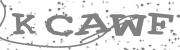 Type the letters in the image or Type the first letter of the words spoken in the audio.