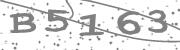 Type the letters in the image or Type the first letter of the words spoken in the audio.
