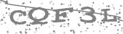Type the letters in the image or Type the first letter of the words spoken in the audio.