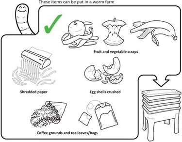 Acceptable worm farm items