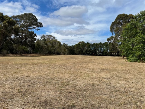 Johnsons Road