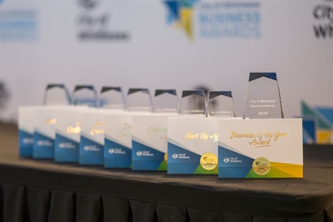 Business awards 2025