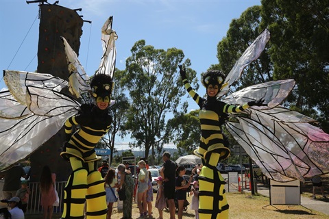 Community Festival 2026