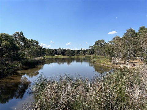 Lauries Field 