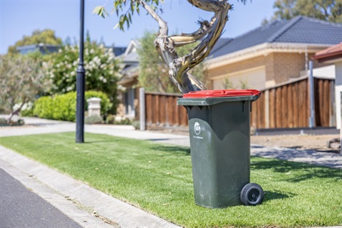 Red-lidded garbage bin (2).JPG