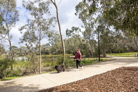 Planning scheme review