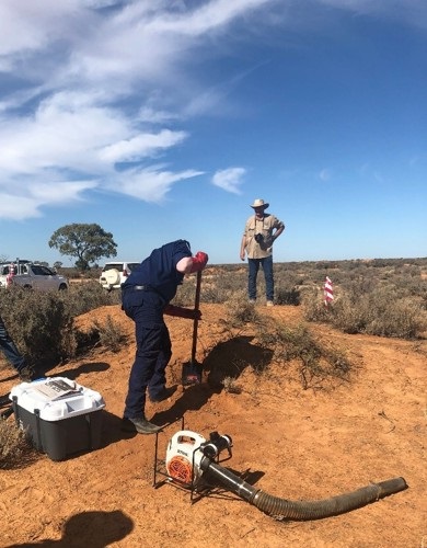 Two workers are using pest rabbit fumigation equipment 
