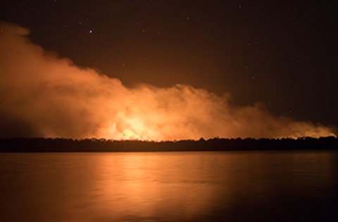 Iluka Nsw Australia November 27 2019 Stock Photo