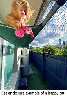 confine-your-pet-cat-enclosure-6.png
