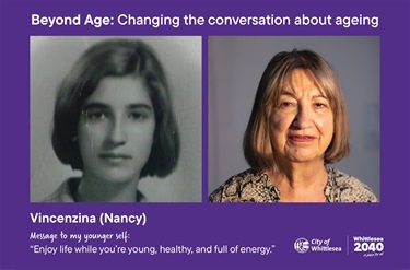 Nancy-Beyond-Age-Posters-480x316px4.jpg