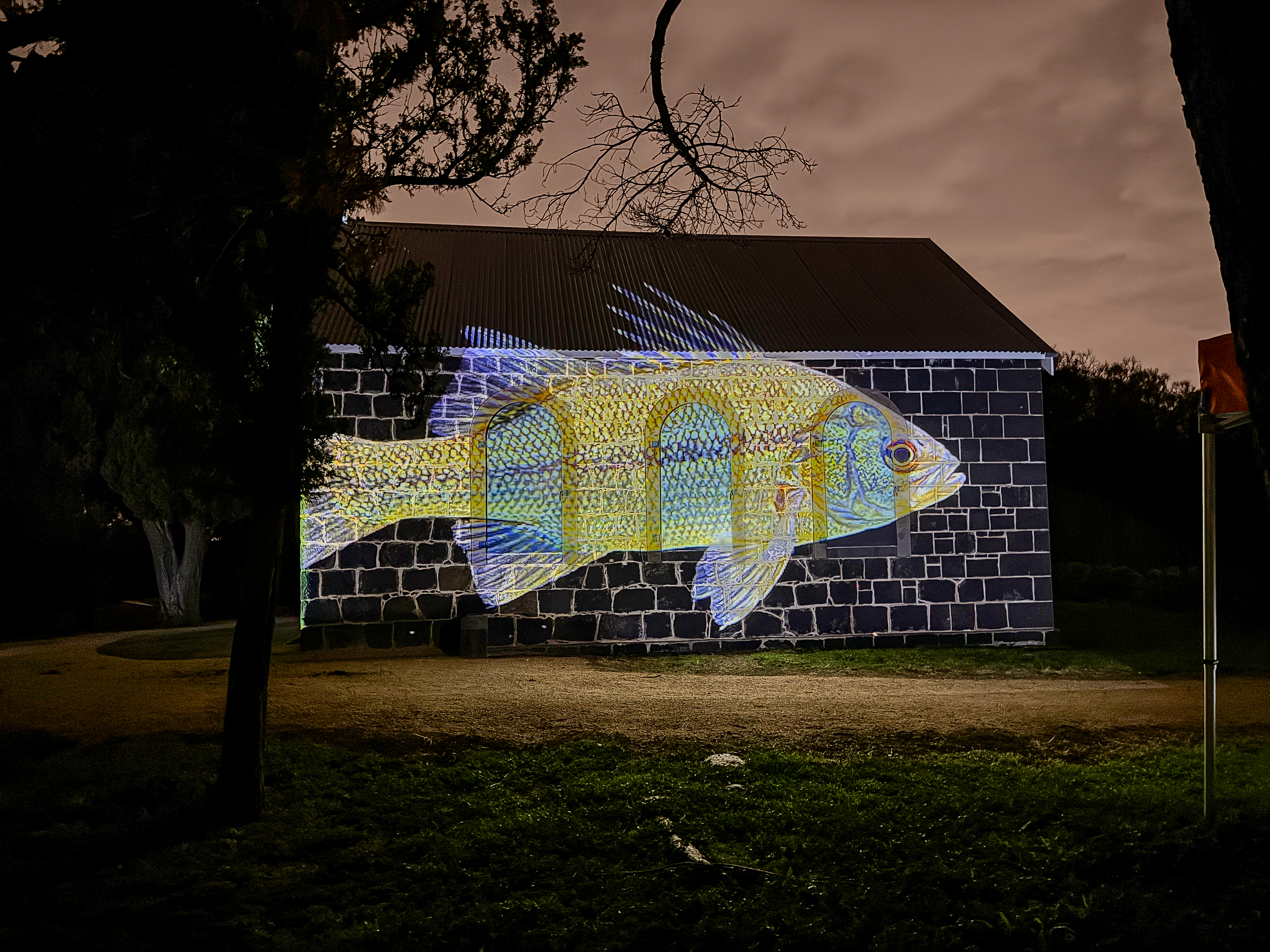 alison-bennett-2026-fish-church-test-IMG_5782-copy.jpg