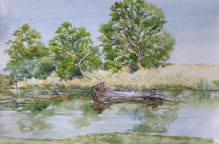 plenty-gorge-wilton-vale.jpg