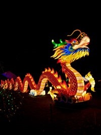 chinese-new-year.jpg