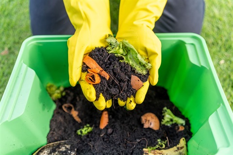 Scraps to soil