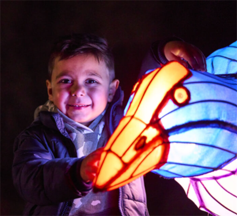 A young boy smiles while touching a brightly lit animal-shaped lantern.