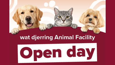 wat djerring open day