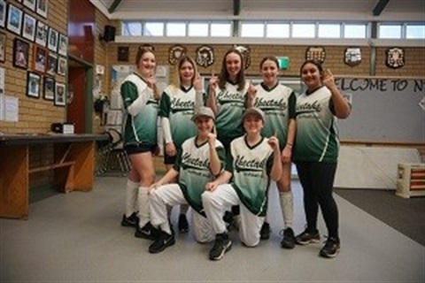 cheetahs-softball-wide.jpg