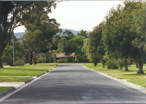 Whittlesea township street
