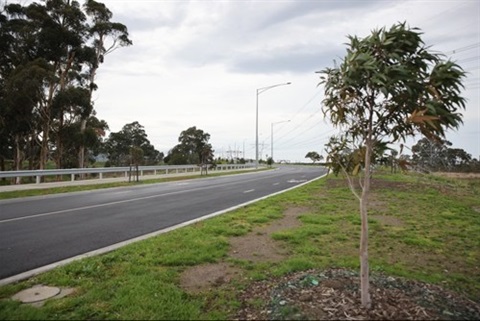 Photo of Findon Road with tree plantings and lighting