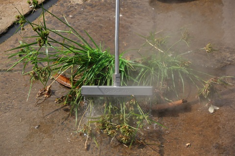 A targeted spray of water, eradicating unwanted weeds.