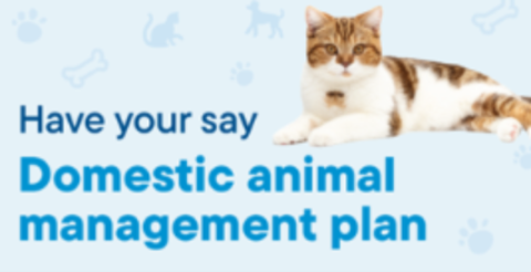 DAMP Have your say