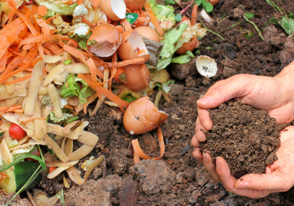 Back to Basics Composting
