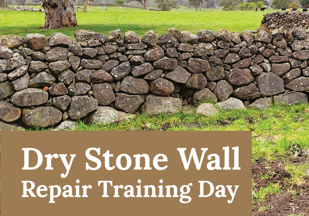 Dry Stone Wall Repair Training