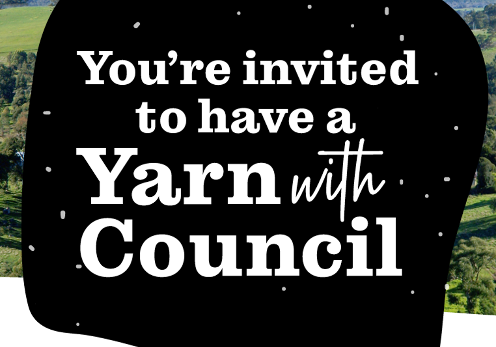 Yarn with Council