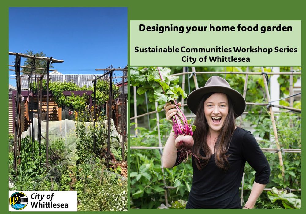 Designing Your Home Food Garden - 2024 Sustainable Communities Workshop Series